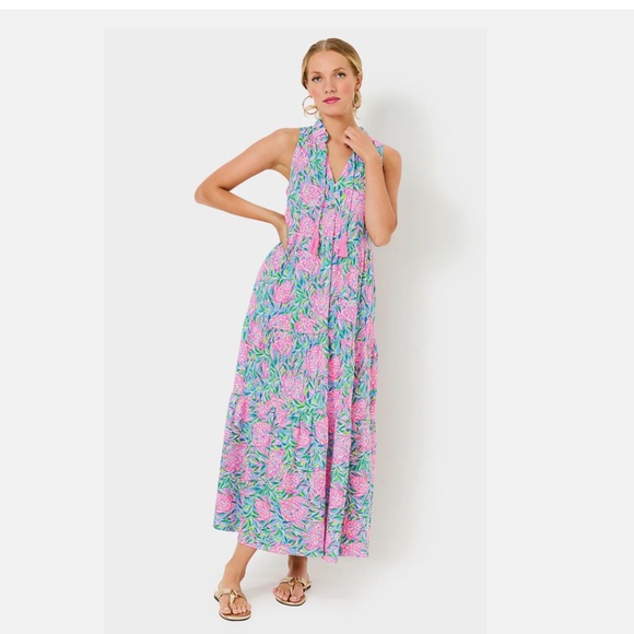 $198 NWT LILLY PULITZER MALONE MAXI DRESS FRENCHIE BLUE PINK TURTLEY IN LOVE L - Picture 2 of 12